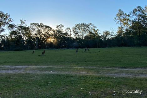 Property photo of 217 Andrew Road Greenbank QLD 4124