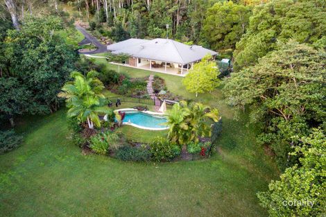 Property photo of 81 Whispering Gum Avenue Eumundi QLD 4562