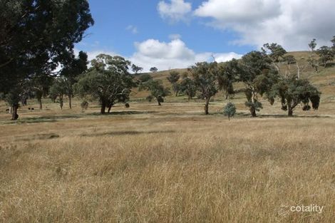 399 Gallymont Rd, Mandurama, NSW 2792