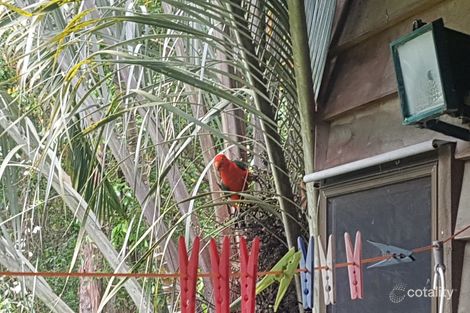 Property photo of 35-37 Pathara Road North Arm QLD 4561