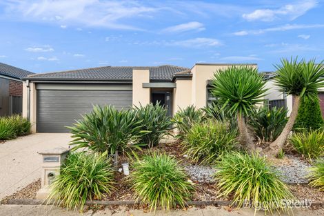 16 Leanyer St, Tarneit, VIC 3029