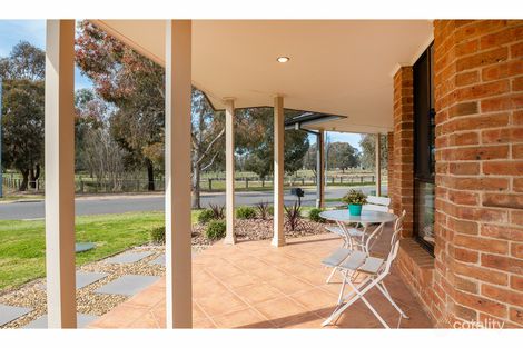 Property photo of 37 Whitebox Circuit Thurgoona NSW 2640