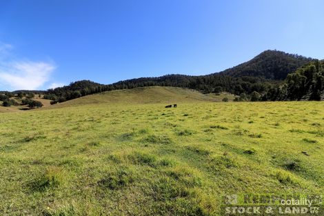 2 Lower Creek Rd, Lower Creek, NSW 2440