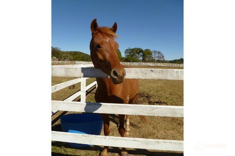 163-187 Petrie Creek Rd, Rosemount, QLD 4560