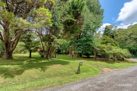 Property photo of 36 Lloyds Road Springbrook QLD 4213