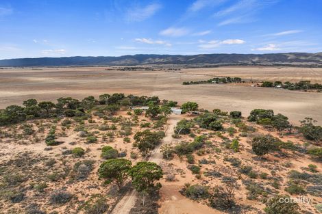Property photo of 12210 Augusta Highway Napperby SA 5540