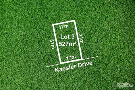 3 Kaesler Dr, Nuriootpa, SA 5355