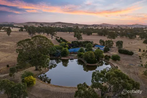 Property photo of 2647 Maroondah Highway Maindample VIC 3723