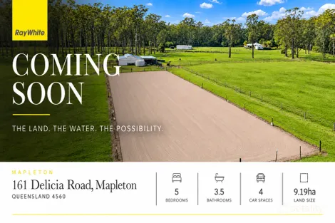 161 DELICIA RD, MAPLETON, QLD 4560