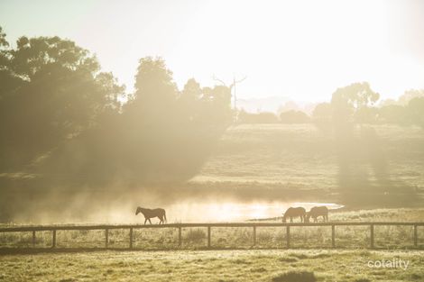 Property photo of 154 Diggings Road Chapel Hill SA 5153