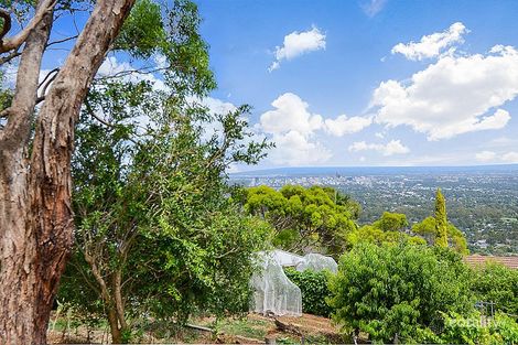 Property photo of 43 Knox Terrace Skye SA 5072