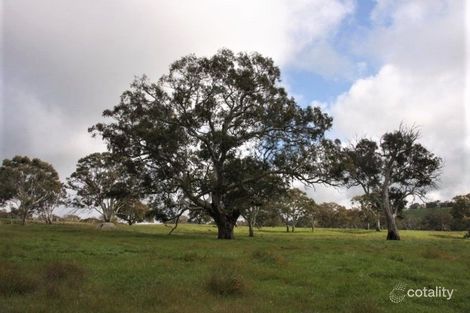 203 Petwood Rd, Petwood, SA 5252