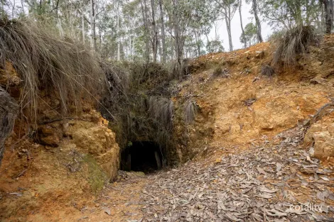Property photo of 1093 Pyramul Road Pyramul NSW 2850