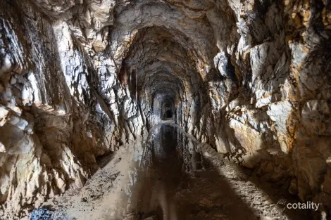 Property photo of 1093 Pyramul Road Pyramul NSW 2850