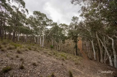Property photo of 1093 Pyramul Road Pyramul NSW 2850