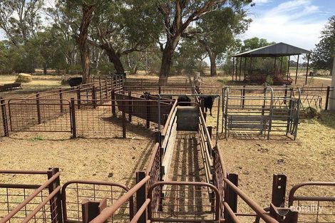 295 Picola South Rd, Picola, VIC 3639