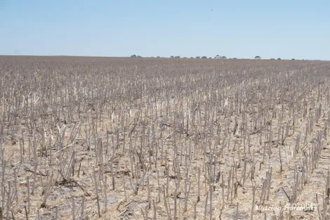 Lot 626 Gibson Rd, Gibson, WA 6448