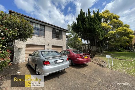 Property photo of 19 Viminaria Place Warabrook NSW 2304