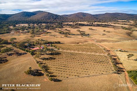 103 Mount Colinton Rd, Colinton, NSW 2626