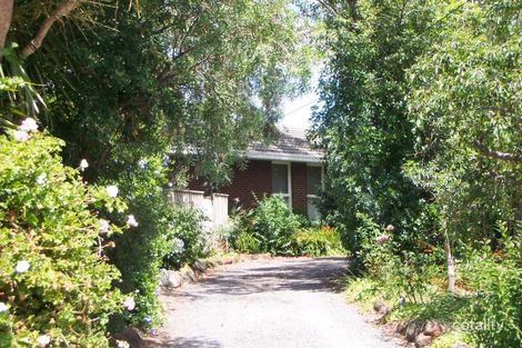 36 Boyd St, Blackburn South, VIC 3130