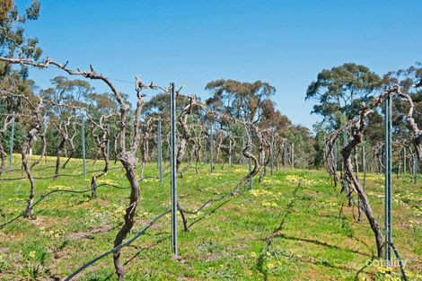 Property photo of 5 Knott Road Williamstown SA 5351