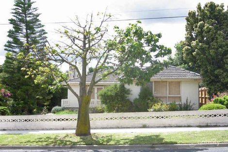 1/6 Essex St, Box Hill North, VIC 3129