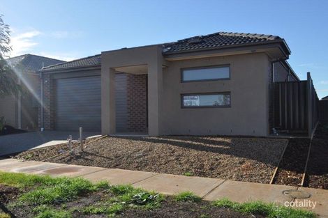 6 Maryburgh Rd, Cobblebank, VIC 3338