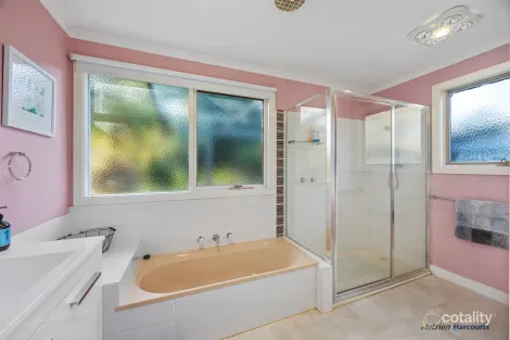 Property photo of 15 Mareeba Avenue Buxton VIC 3711