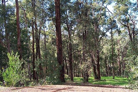 Property photo of 175 Lacey Road Mundaring WA 6073