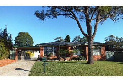 Property photo of 9 Birch Close Medowie NSW 2318