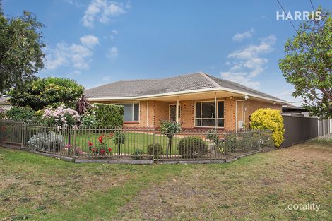 19 Harkness Ave, Modbury, SA 5092