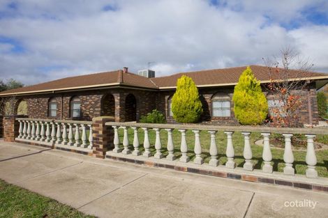 Property photo of 17 Citrus Avenue Horsham VIC 3400