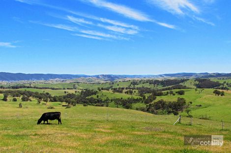 1119 Buchan-Ensay Rd, Reedy Flat, VIC 3895