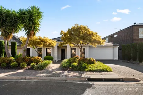 20 Borrillo Ave, Newton, SA 5074