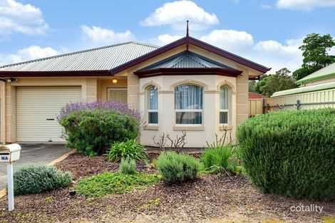 Property photo of 16A Wicks Avenue Campbelltown SA 5074