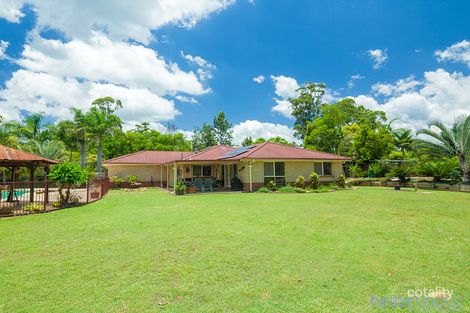 Property photo of 70 Blueberry Drive Black Mountain QLD 4563