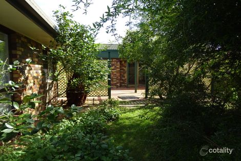 Property photo of 49 College Road Stanthorpe QLD 4380