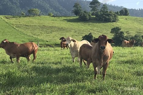 277 Seres Rd, Mena Creek, QLD 4871