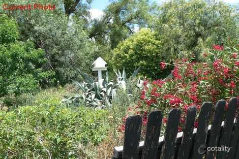 Property photo of 8 Wilson Street Gundy NSW 2337