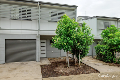 Property photo of 36/2 Beezley Street Glen Eden QLD 4680