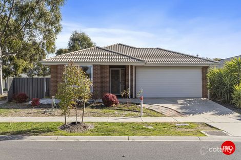 Property photo of 1 Pamela Avenue Jackass Flat VIC 3556