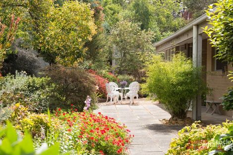 Property photo of 6-8 Rylstone Road Cowes VIC 3922