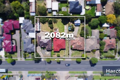 1413 Centre Rd, Clayton, VIC 3168