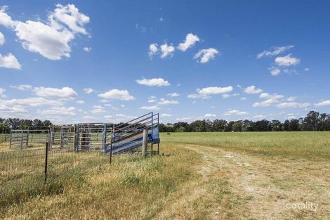 Property photo of 344 Wilbetree Road Menah NSW 2850
