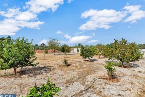 Property photo of 94 Griffiths Road Kudla SA 5115