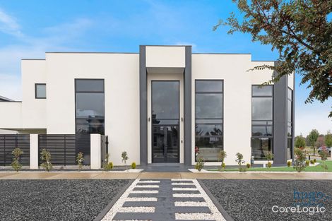 Property photo of 50 Mulgara Loop Throsby ACT 2914