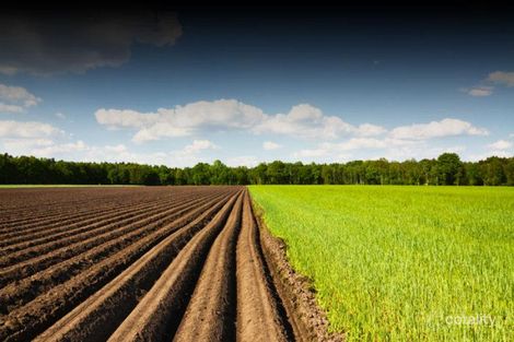 3 Clover Ct, Virginia, SA 5120