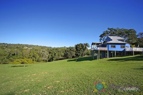 Property photo of 49 Uhlmanns Road Black Mountain QLD 4563