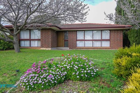 Property photo of 31 Casuarina Avenue Surrey Downs SA 5126