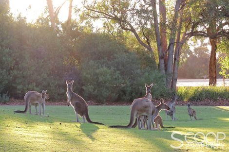 Property photo of 11 Country Club Avenue Roleystone WA 6111